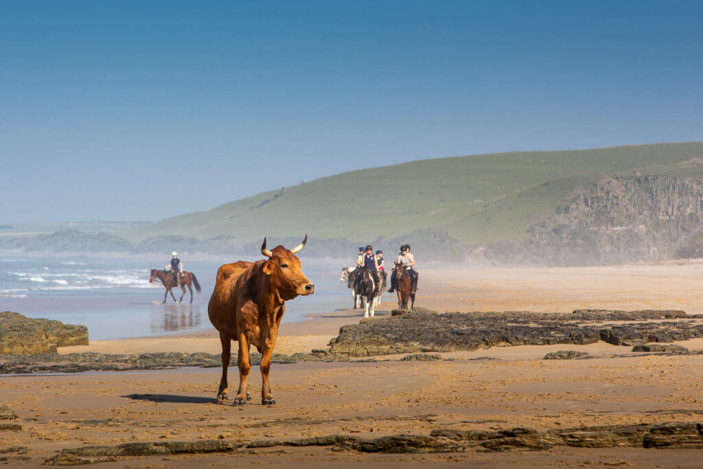 People riding holiday along South Africa's Wild Coast. Image Source: Getty