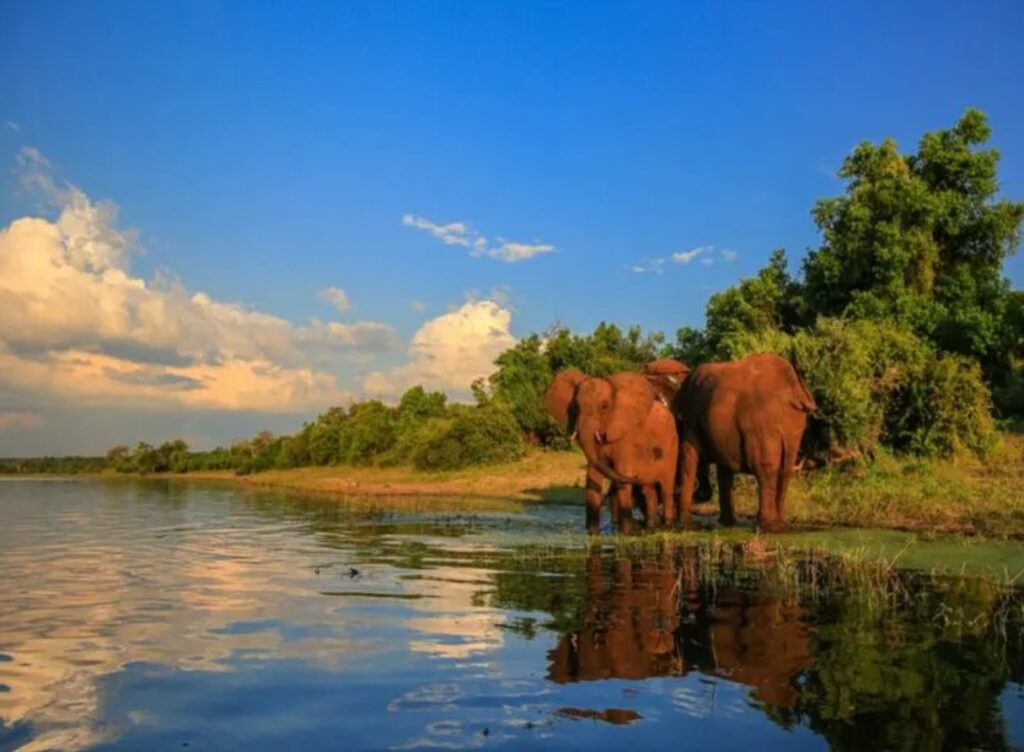 Kruger National Park
