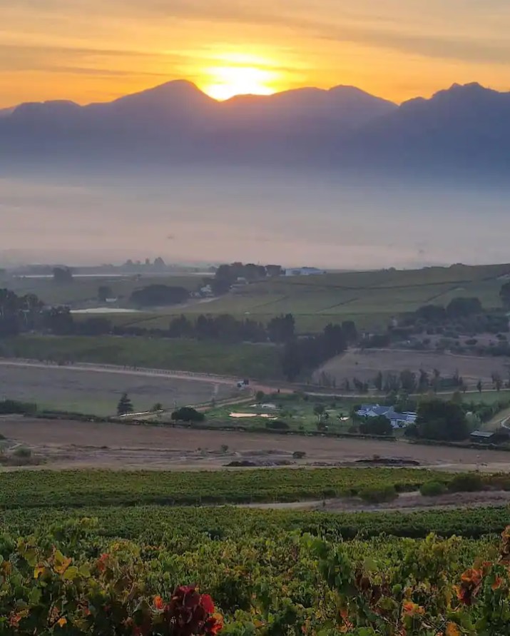 The Rhebokskloof Wine Estate. Photo: @rhebokskloofwineestate Source: Instagram