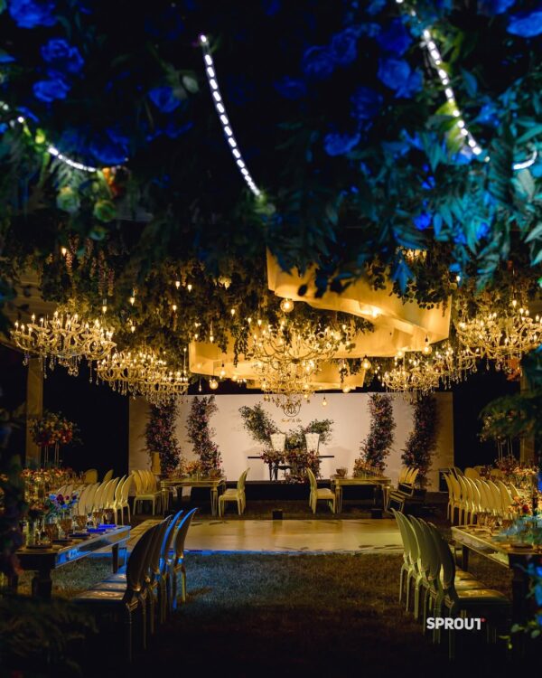 Sprout Affair - Image 3