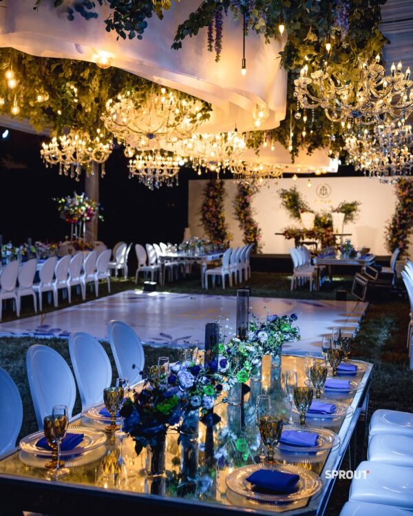 Sprout Affair - Image 5