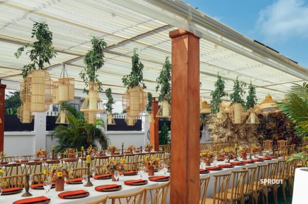 Sprout Affair - Image 53