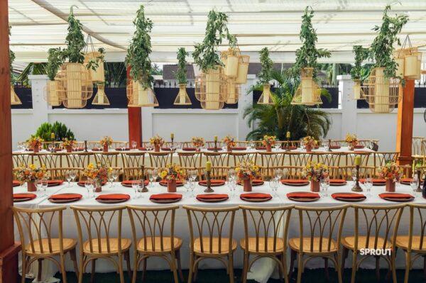 Sprout Affair - Image 55