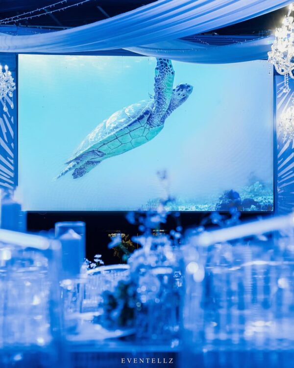 Eventellz - Image 9