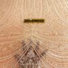 House Of DAB - Image 14