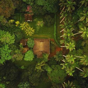 Aburi Botanical Gardens