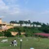 Anagkazo Campus - Image 6