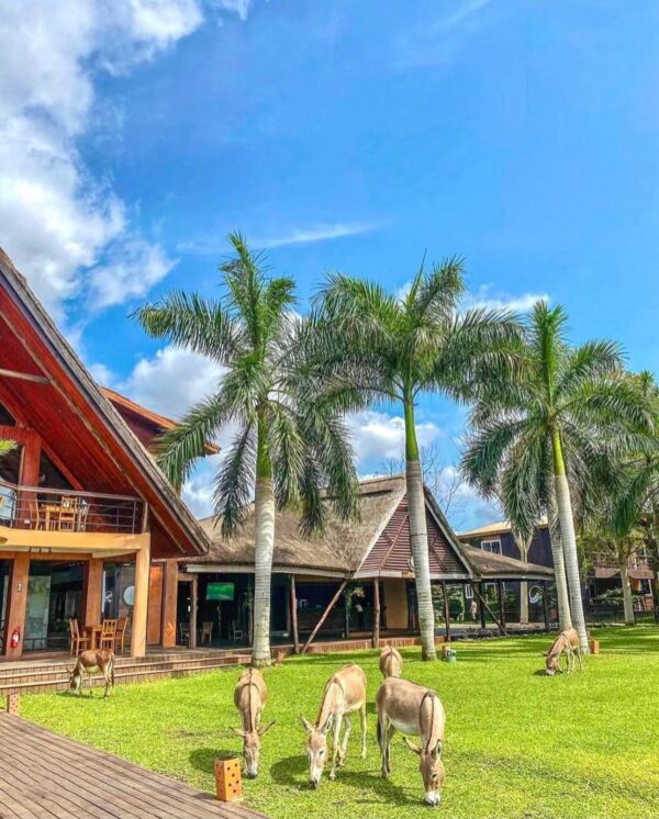 Aqua Safari Resort - Image 20