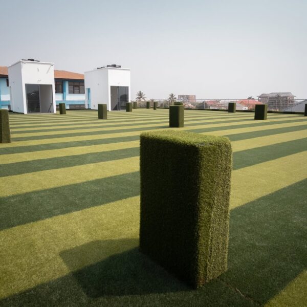 Glass Gardens - Image 16