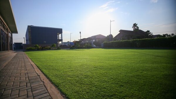 Pearly Gate Gardens - Image 6