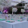 Peduase Valley Resort - Image 26