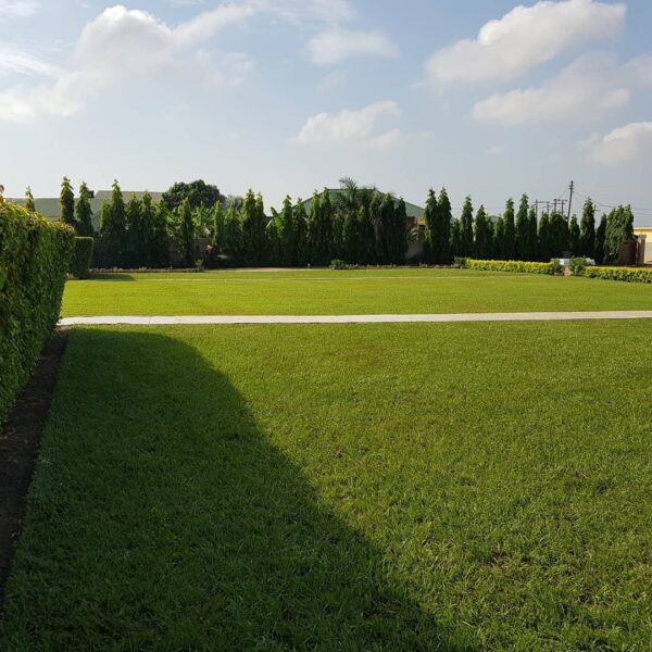 Royal Almond Garden Event Center - Image 31