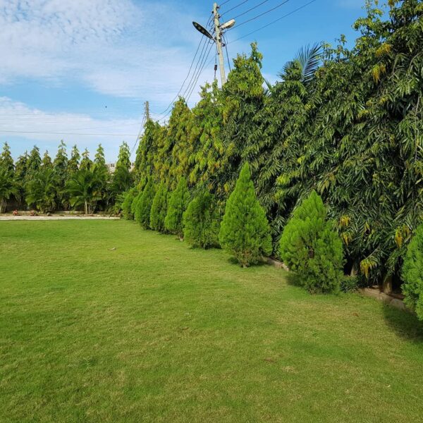 Royal Almond Garden Event Center - Image 32