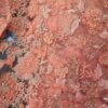 Sarah's Fabric - Image 15