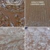 Sarah's Fabric - Image 74