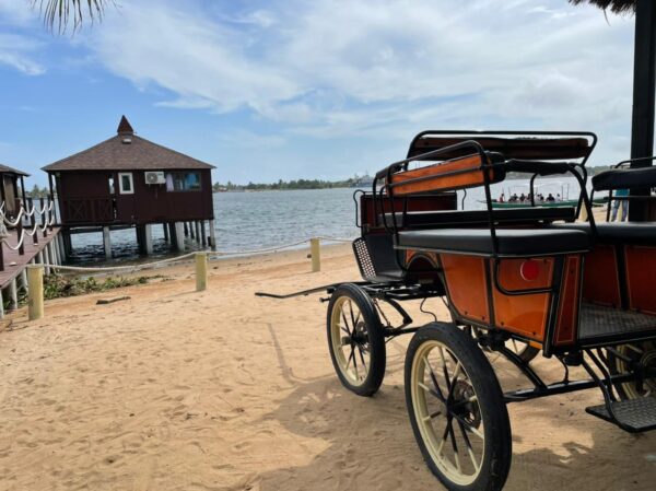 Treasure Island Ghana - Image 28