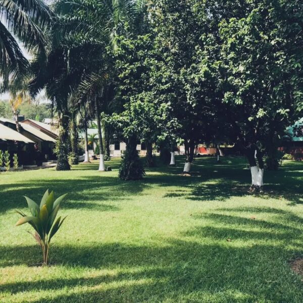 Adi Lake Resort - Image 14