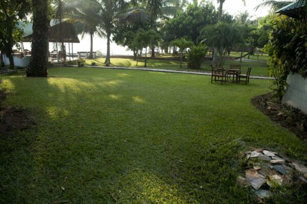 Adi Lake Resort - Image 3