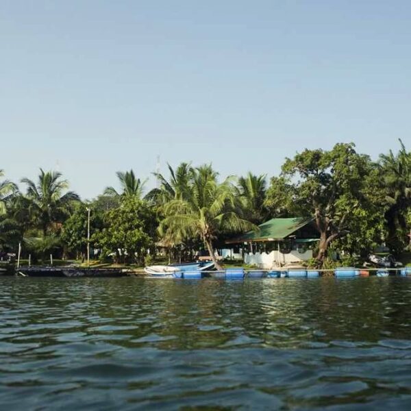 Adi Lake Resort - Image 21