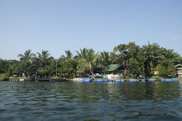 Adi Lake Resort - Image 5