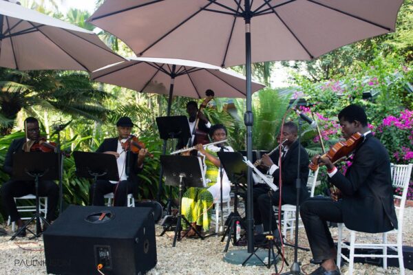 Afro Maestros Orchestral Ensemble - Image 2