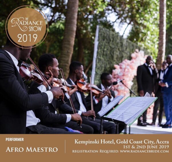 Afro Maestros Orchestral Ensemble - Image 11