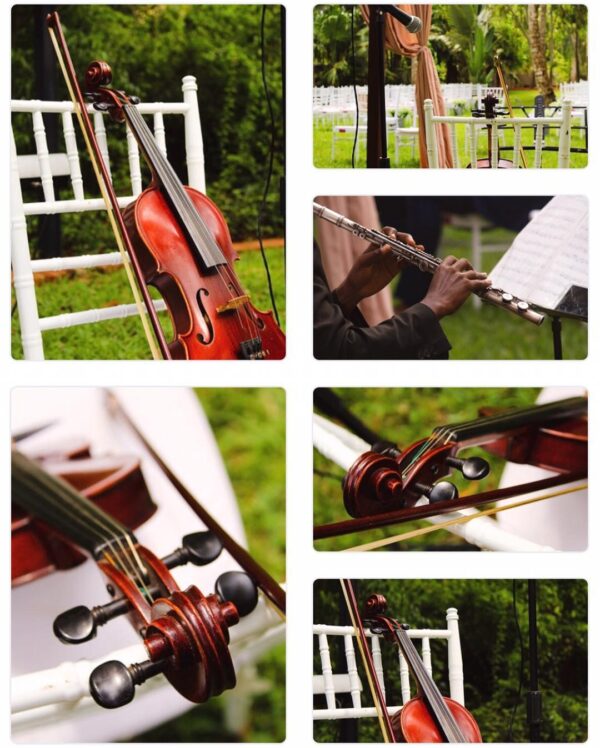 Afro Maestros Orchestral Ensemble - Image 19