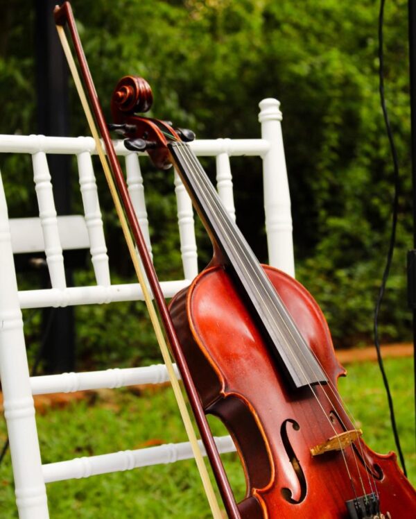 Afro Maestros Orchestral Ensemble - Image 21