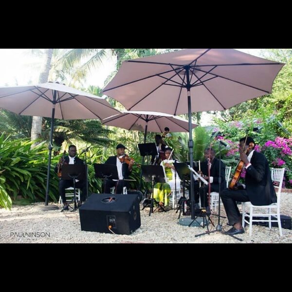 Afro Maestros Orchestral Ensemble - Image 22
