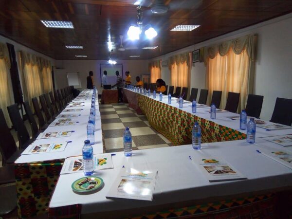 Akosombo Continental Hotel - Image 24