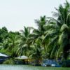 Aylos Bay Garden Restaurant and Lodge - Image 16