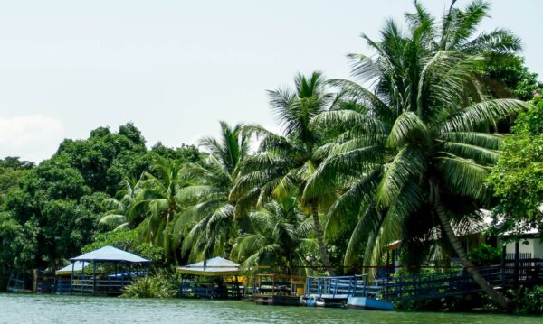 Aylos Bay Garden Restaurant and Lodge - Image 16