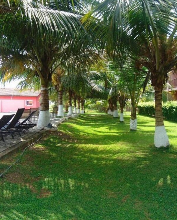 Bojo Beach Resort - Image 12