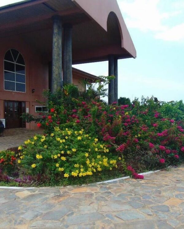 Bojo Beach Resort - Image 14