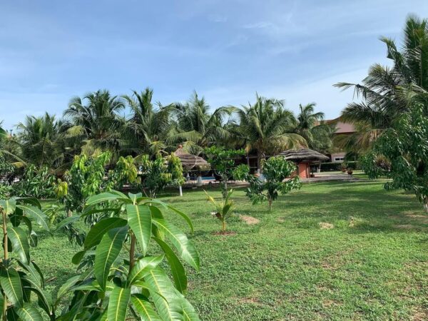 Bojo Beach Resort - Image 25