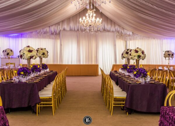 Chandelier Marquee and Services - Image 6
