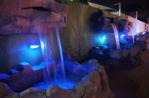 Ecstacy Eden Event Center - Image 10