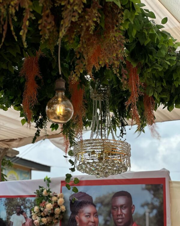 Elieona Events Decor & Rentals - Image 8