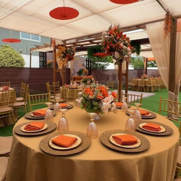 Elieona Events Decor & Rentals - Image 13