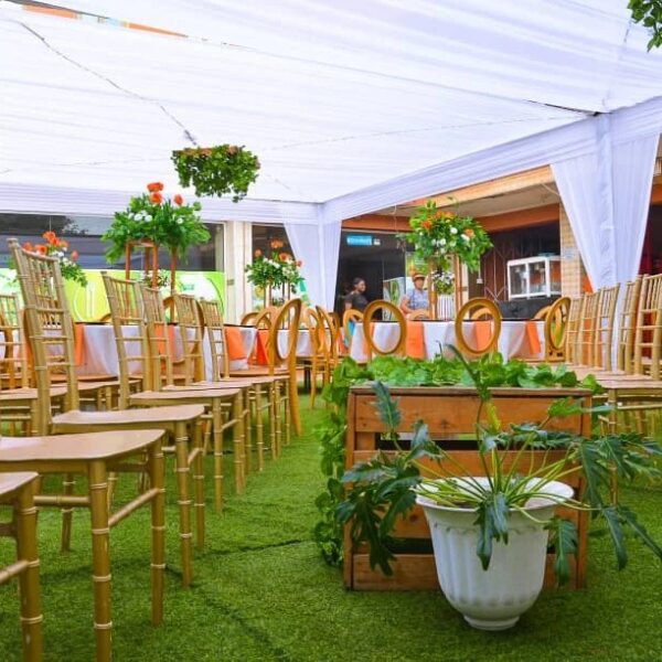 Elieona Events Decor & Rentals - Image 18