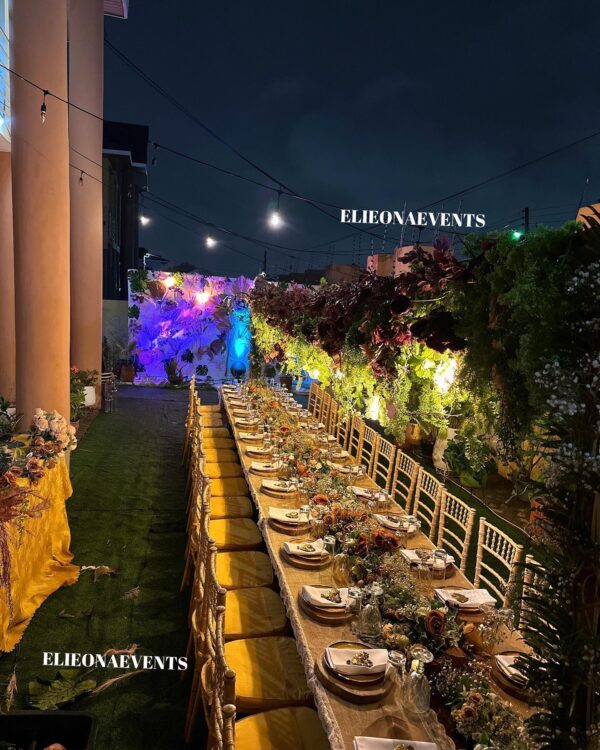 Elieona Events Decor & Rentals - Image 36