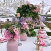 EventsWeb - Image 8