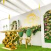 EventsWeb - Image 13