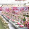 EventsWeb - Image 24