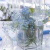 EventsWeb - Image 41