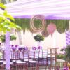 EventsWeb - Image 67