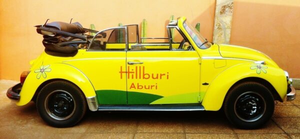 Hillburi - Image 34