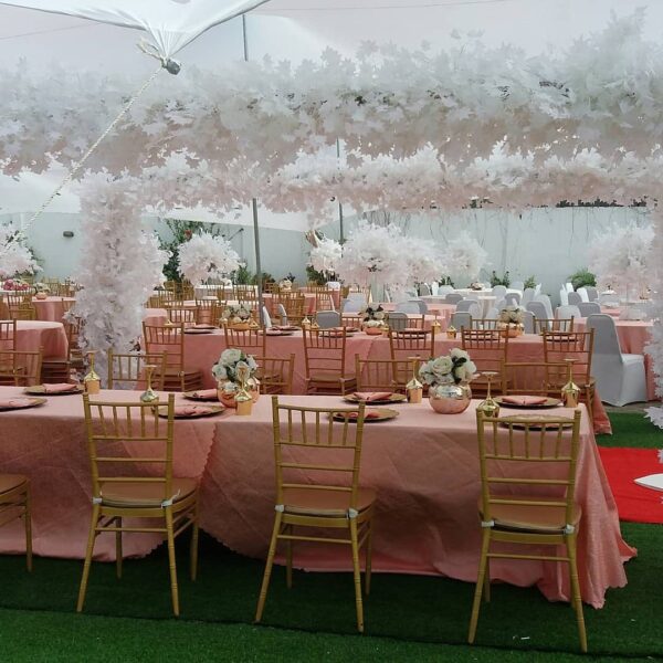 Lavidstal Events Centre - Image 18