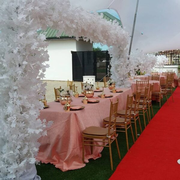Lavidstal Events Centre - Image 19
