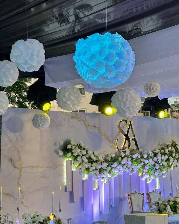 Prime Sounds and Event Lighting - Image 6